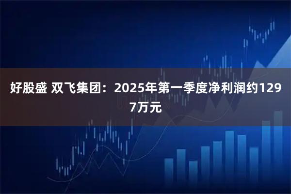 好股盛 双飞集团：2025年第一季度净利润约1297万元