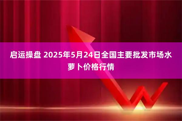 启运操盘 2025年5月24日全国主要批发市场水萝卜价格行情